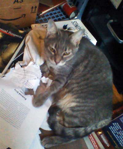 Nala, Asst. Editor